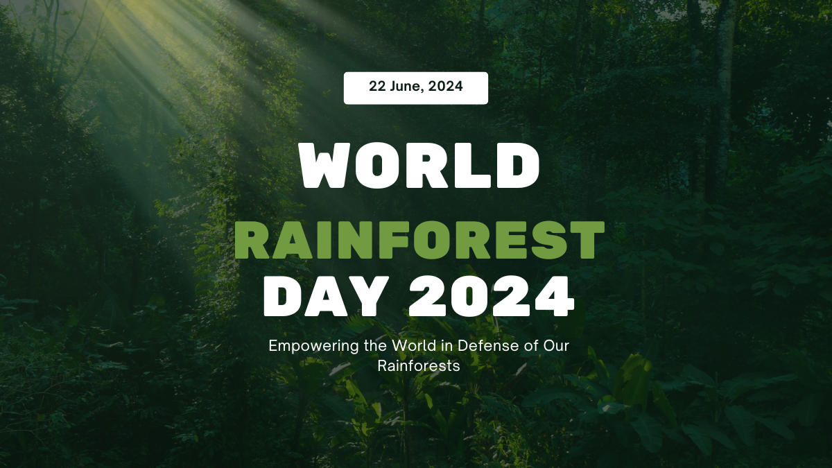 World Rainforest Day 2024, Date, History, theme and Significance