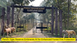 Pench Tiger Reserve Embraces AI for Enhanced Forest Fire Protection