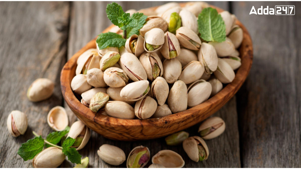 Top-10 Pistachios Producing Countries in the World