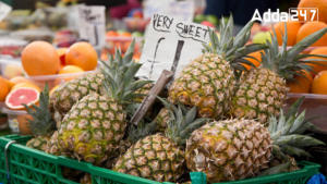 Most Pineapples Exporting Country in the World