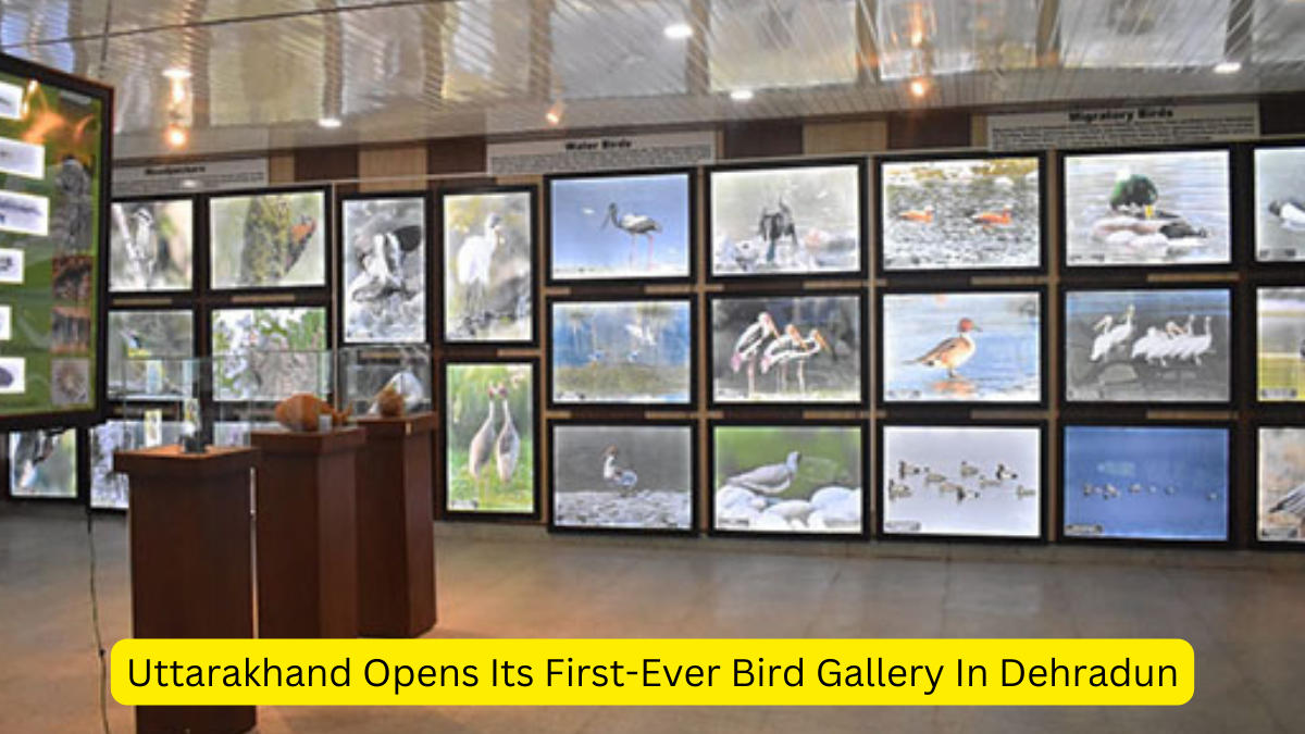 Uttarakhand Opens Its First-Ever Bird Gallery In Dehradun