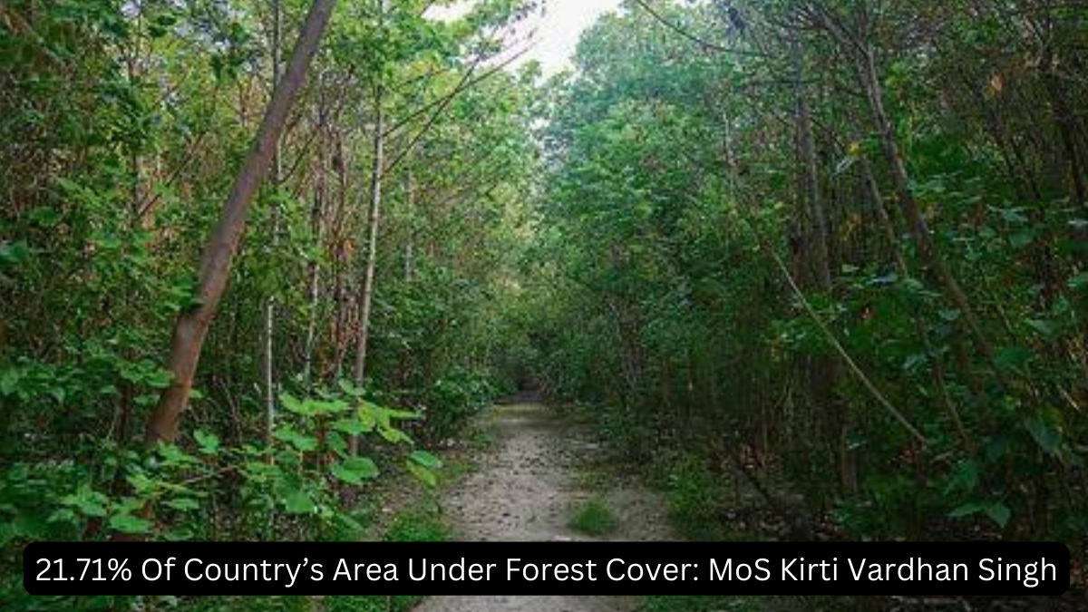 21.71% Of Country’s Area Under Forest Cover: MoS Kirti Vardhan Singh
