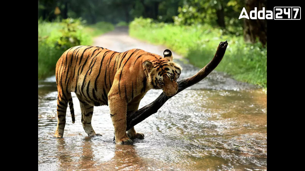 Periyar Tiger Reserve's Innovative Wind Turbine Installation