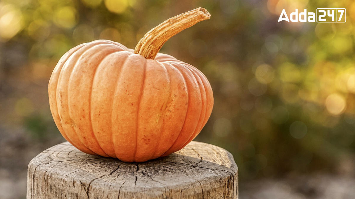 Top-10 Pumpkin Producing Countries in the World