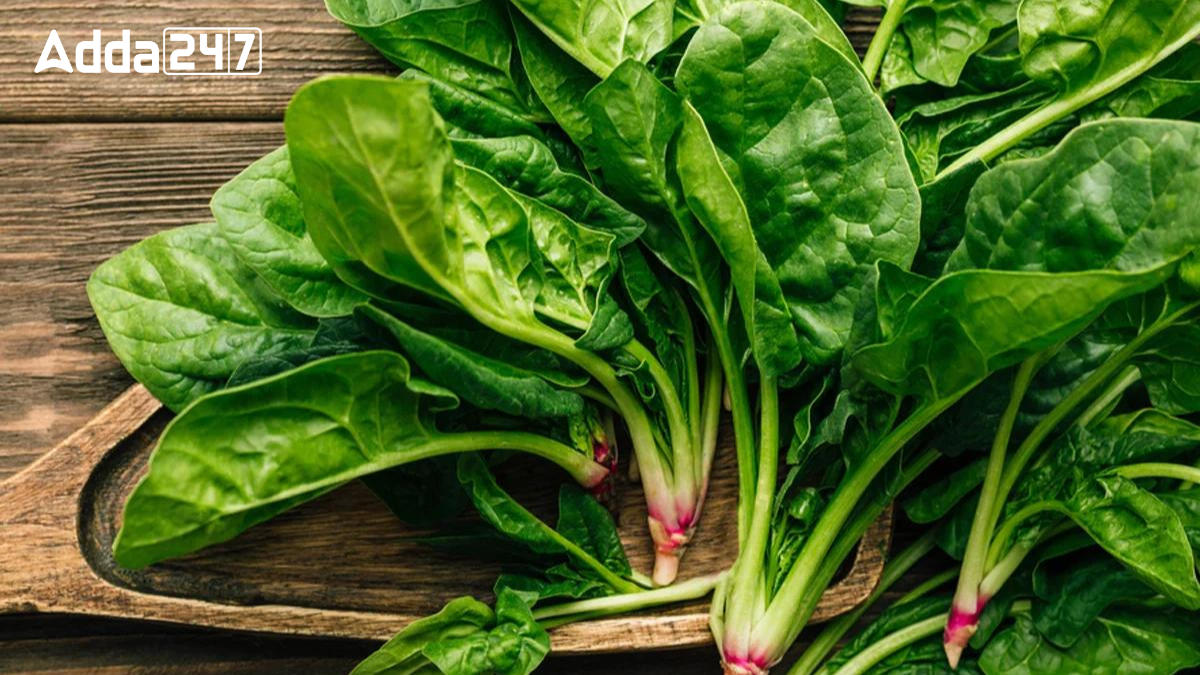 Top-10 Spinach Producing Countries in the World