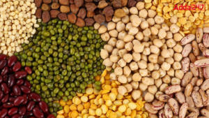 Top-10 Pulses Producing Countries in the World