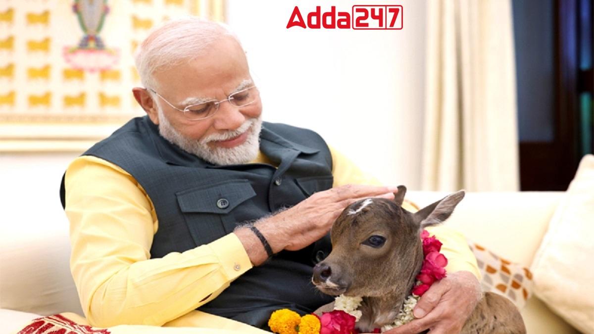 PM Modi Welcomes Newborn Calf 'Deepjyoti' at His Residence