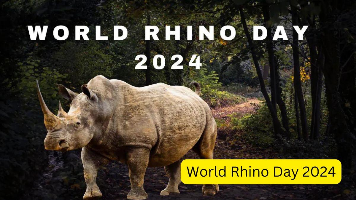 World Rhino Day 2024