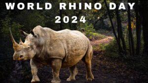 World Rhino Day 2024