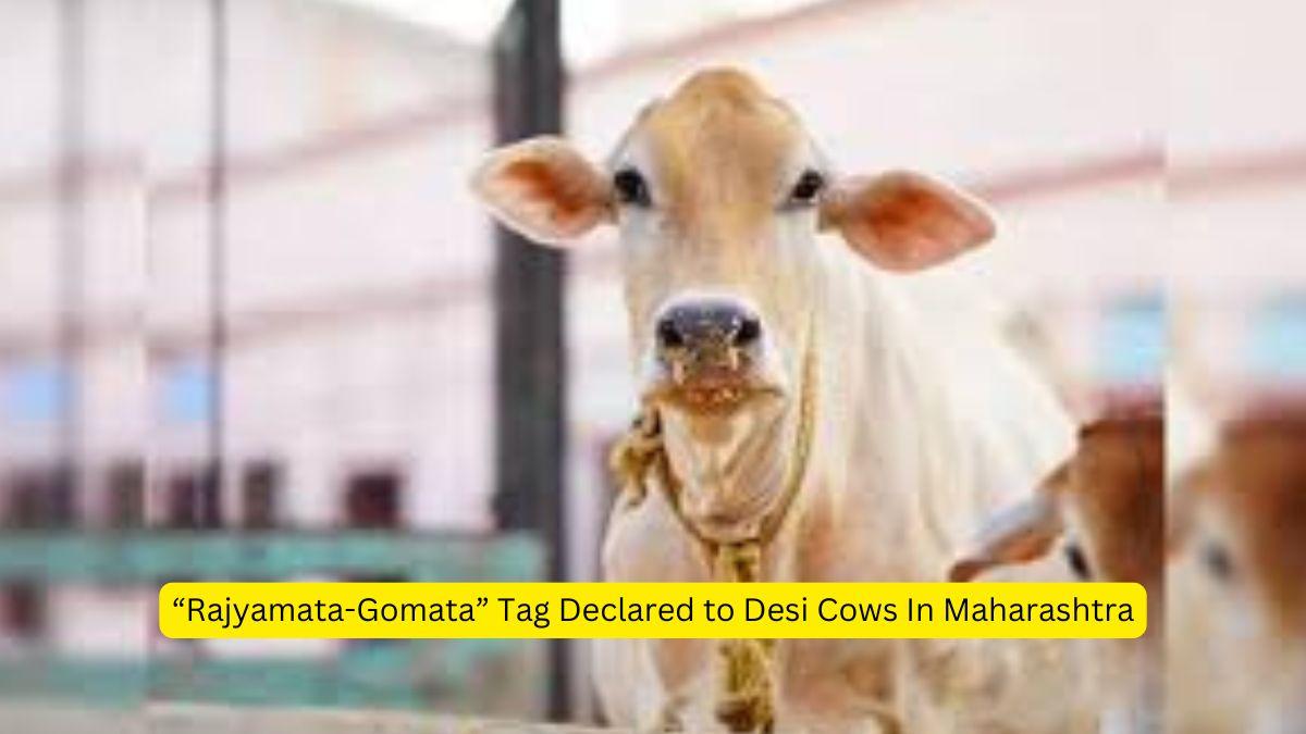 "RajyamataGomata" Tag Declared to Desi Cows In Maharashtra