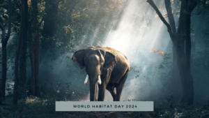 World Habitat Day 2024, Empowering Youth for a Sustainable Urban Future