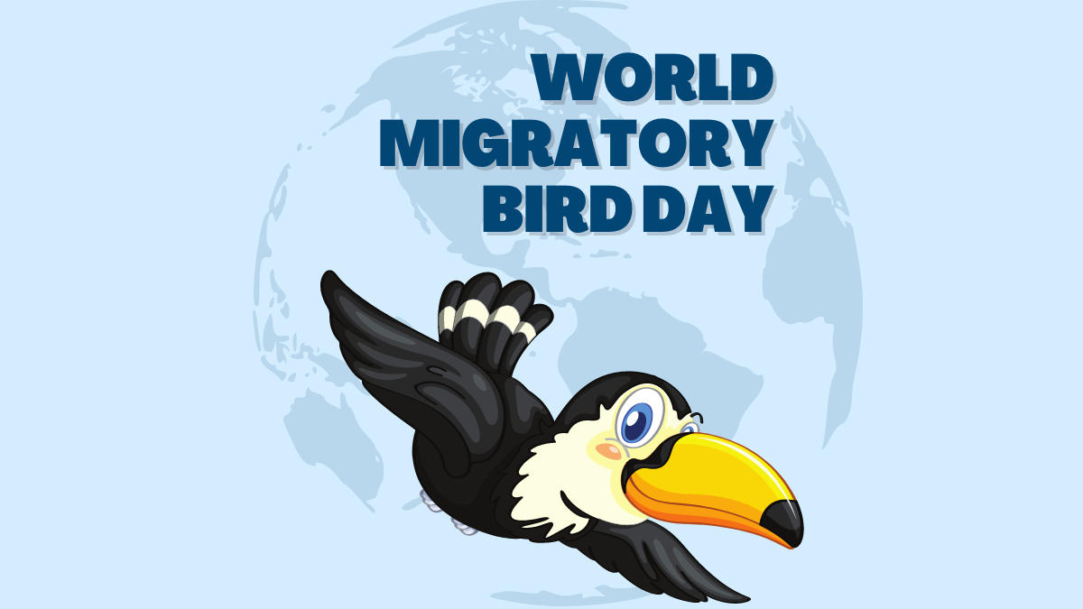 World Migratory Bird Day 2024, Date, Theme, History and Significance