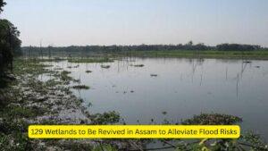 129 Wetlands to Be Revived in Assam to Alleviate Flood Risks