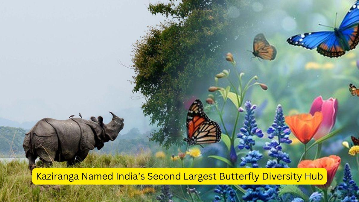 Kaziranga Named India’s Second Largest Butterfly Diversity Hub