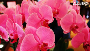 Which Indian State is Known as the Orchid State?