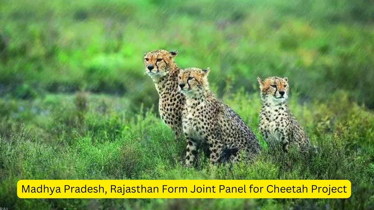 Madhya Pradesh, Rajasthan Form Joint Panel for Cheetah Project