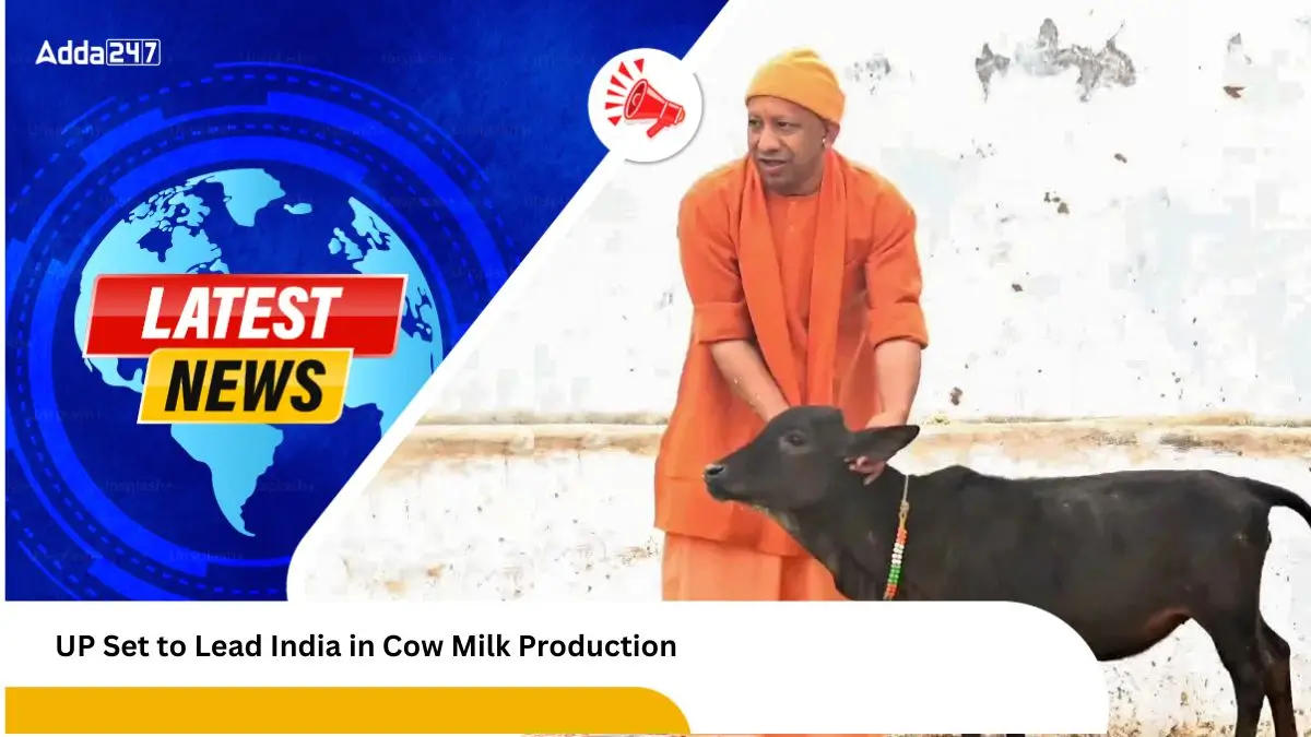 UP Set to Lead India in Cow Milk Production