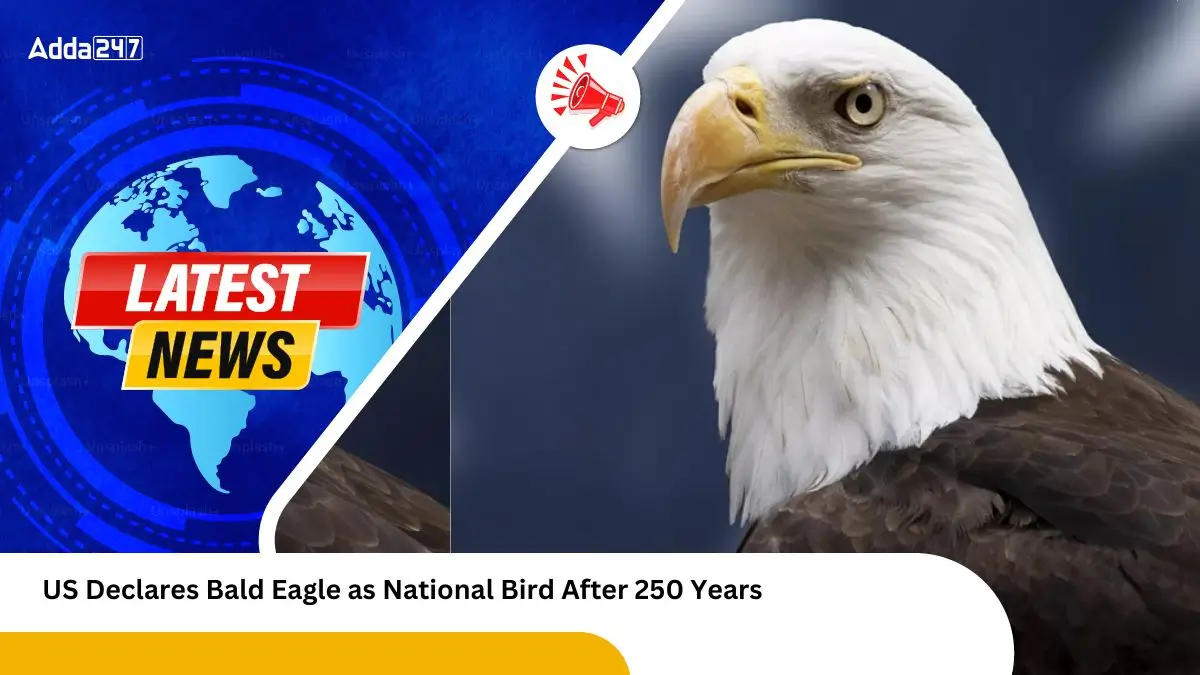 US Declares Bald Eagle as National Bird After 250 Years