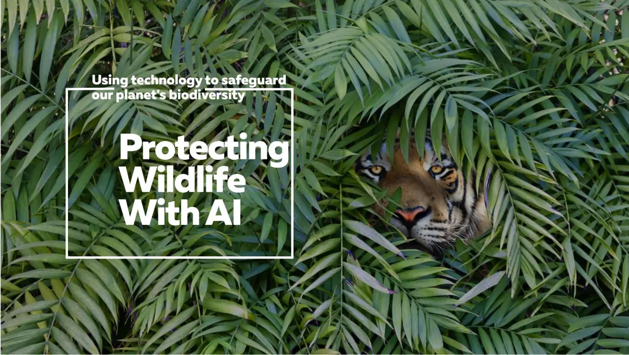 TrailGuard AI: Revolutionizing Anti-Poaching Efforts in Wildlife Conservation