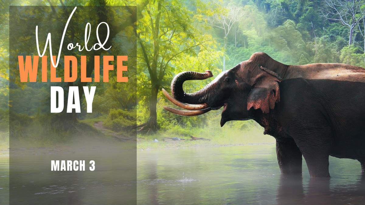 World Wildlife Day 2025: Date, Theme, History and Significance