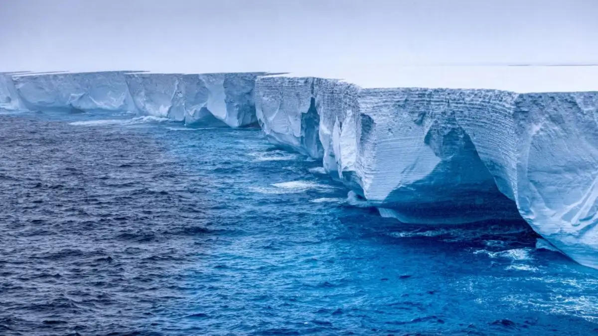 World's Largest Iceberg A23a Runs Aground Near South Georgia Island