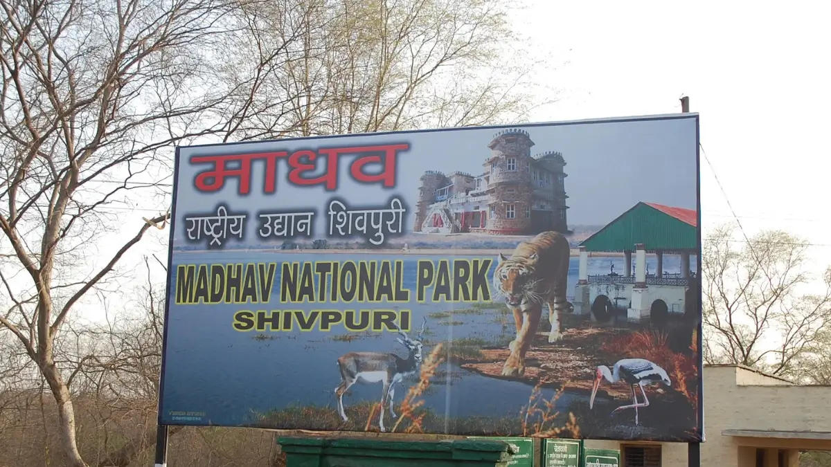 Madhav National Park Declared as India’s 58th Tiger Reserve