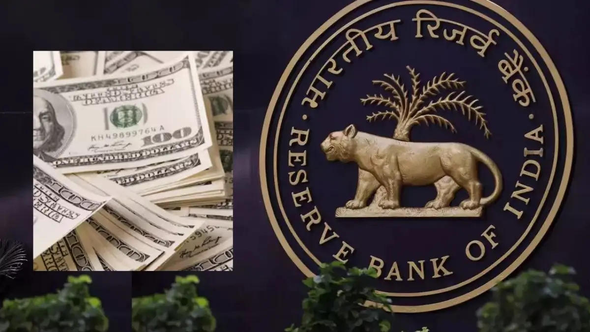 India’s Forex Reserves See Sharpest Jump in Two Years RBI Data