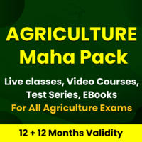 Biggest Month End Surprise- Flat 75% Off + Double Validity On All Mahapacks_100.1
