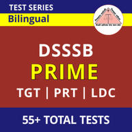 DSSSB Prime 2023 Online Test Series