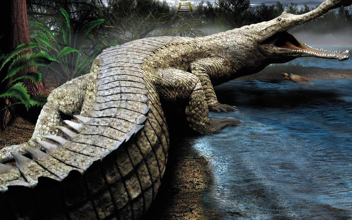 Biggest Crocodile in the World_60.1