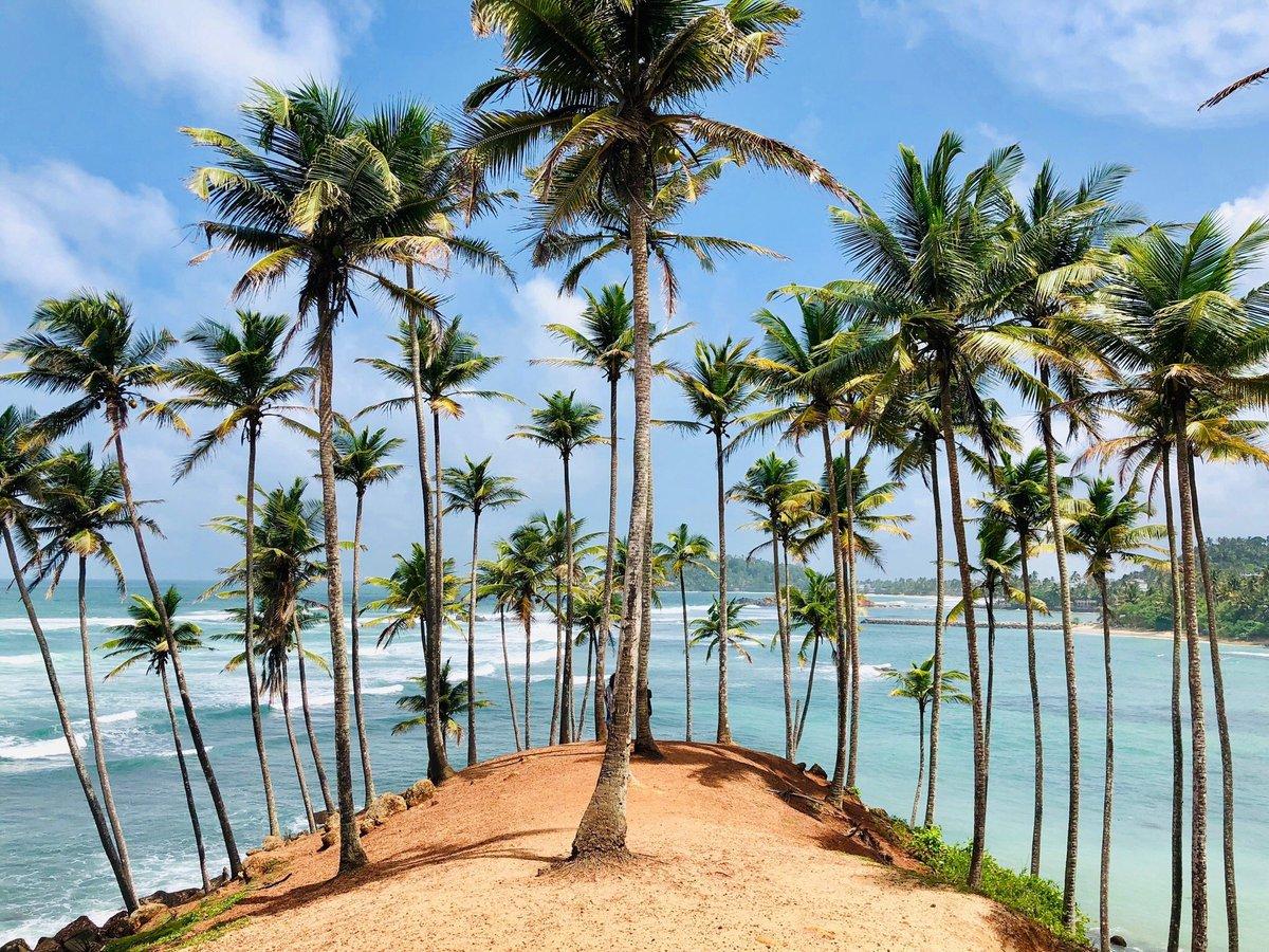 Coconut Tree Hill (Mirissa) - All You Need to Know BEFORE You Go (with Photos) - Tripadvisor
