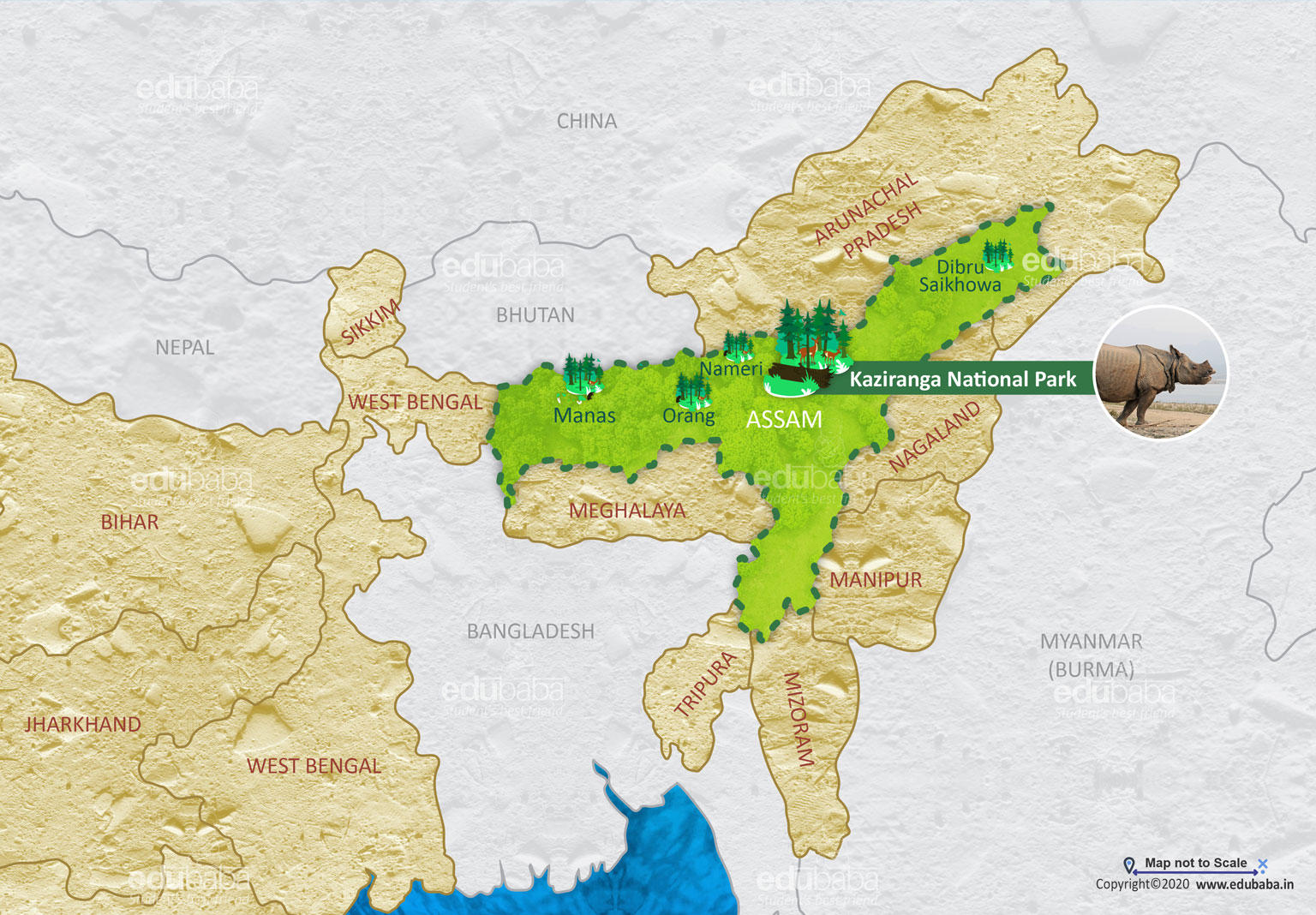 Kaziranga National Park | Definition, Map & Facts for Exam | EDUBABA