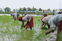 आकांक्षी जिलों में किसानों की आय बढ़ाने के लिए सरकारों ने 'कृषि कल्याण अभियान' का आयोजन किया |_50.1