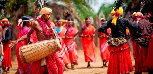 रायपुर में होगा राष्ट्रीय आदिवासी नृत्य महोत्सव का शुभारंभ |_50.1