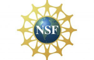 भारतीय मूल के वैज्ञानिक सेथुरमन करेंग अमेरिका के प्रतिष्ठित NSF का नेतृत्व |_50.1