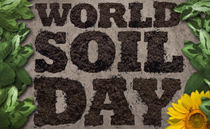 विश्व मिट्टी दिवस: 5 दिसंबर |_50.1