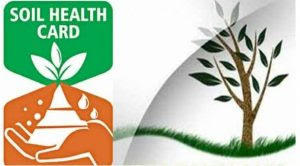 मिट्टी की खामियों को दूर करने के लिए 19 फरवरी को मनाया जाता है मृदा स्वास्थ्य कार्ड दिवस |_50.1