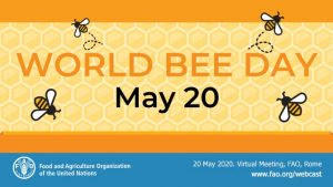 विश्व मधुमक्खी दिवस: 20 मई |_50.1