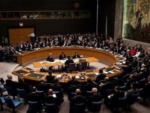 भारत बना संयुक्त राष्ट्र सुरक्षा परिषद का अस्थायी सदस्य |_50.1
