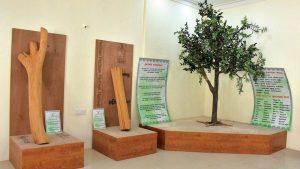 कर्नाटक के मैसूरु में खोला गया भारत का पहला चंदन संग्रहालय |_50.1