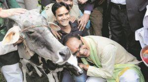 मध्य प्रदेश सरकार ने गायों के संरक्षण के लिए की "गौ कैबिनेट" गठन करने की घोषणा |_50.1