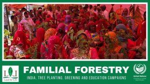 पर्यावरण संगठन 'फैमिलियल फॉरेस्ट्री' ने जीता संयुक्त राष्ट्र का प्रतिष्ठित पुरस्कार |_50.1