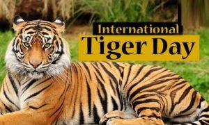 29 जुलाई अंतर्राष्ट्रीय बाघ दिवस |_50.1