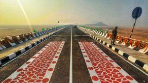 ओडिशा के मुख्यमंत्री ने कटक में ओडिशा के सबसे लंबे पुल 'टी-सेतु' का उद्घाटन किया |_50.1