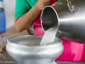 जेरी हैमलेट को जम्मू-कश्मीर का पहला 'दूध गांव' घोषित किया गया |_50.1