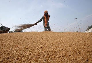 इंडोनेशिया ने भारत से कृषि आयात को निलंबित किया |_50.1