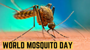 विश्व मच्छर दिवस 2023: तारीख, महत्व, उत्सव और इतिहास |_3.1