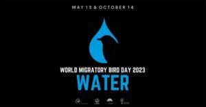 विश्व प्रवासी पक्षी दिवस (WMBD) 2023: तारीख, थीम, उत्पत्ति और दिलचस्प तथ्य |_3.1