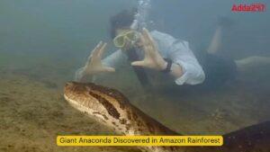 अमेज़ॅन वर्षावन में विशालकाय एनाकोंडा की खोज