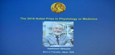 जापान के ओशुमी को चिकित्सा का नोबेल पुरस्कार |_40.1